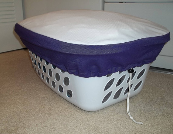 back to college gift